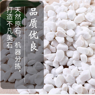 饰隔断 原木干树枝屏风隔断枯木树干幼儿园作品展示客厅玄关简约装