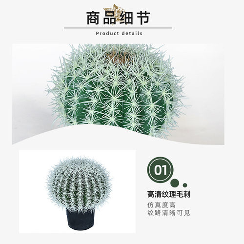 仿真仙人掌居家仙人球盆栽室内装饰人造装饰假绿植摆件摄影道具