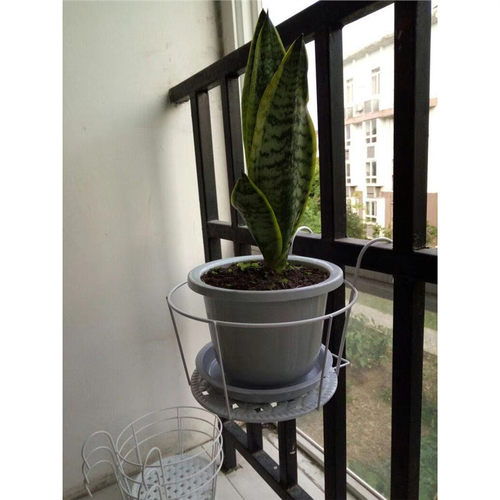多肉8个装】阳台铁艺挂花盆架栏杆悬挂【吊兰绿萝客厅挂花架