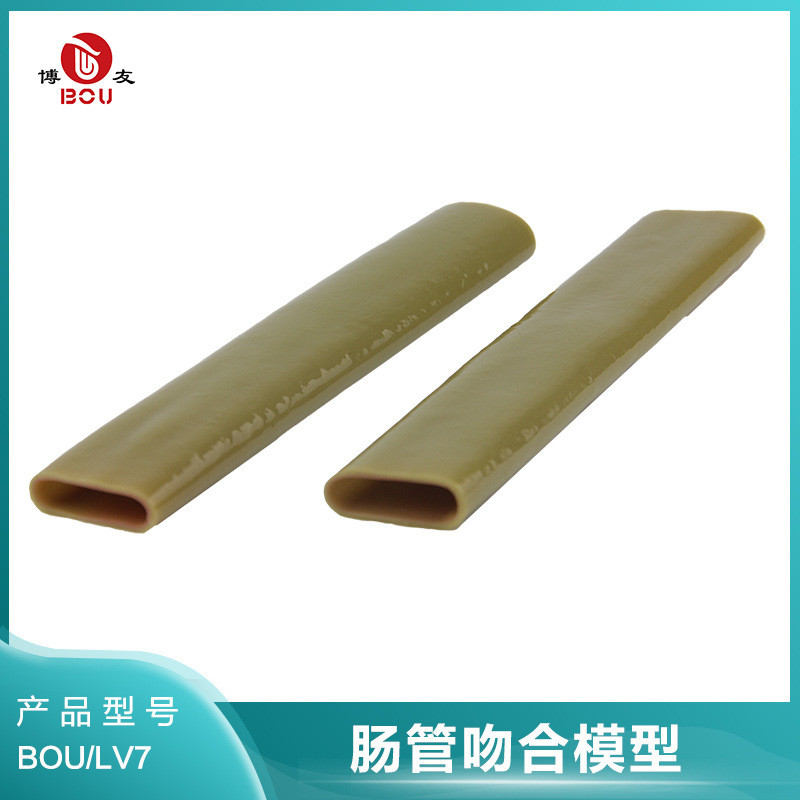 博友肠管吻合模型 黏膜层的肠管 肠管缝合练习道具腹腔内缝合训练
