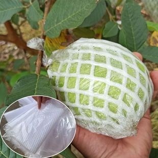 一体泡沫袋防虫批有网袋番石榴保护网孔水果套袋套通用树上排水