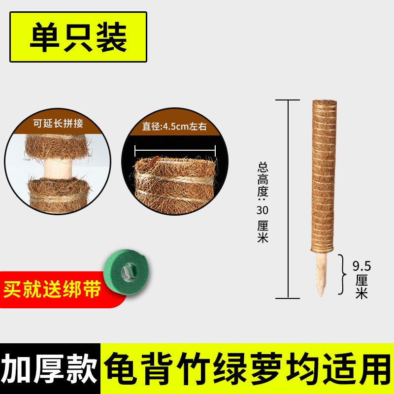 椰丝棒绿箩固定架龟背竹支撑杆棕榈植物爬藤花椰棕绿萝柱攀爬柱架