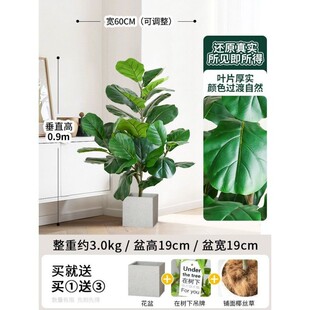 仿真绿植假植物室内高端轻奢客厅装饰大型仿生盆栽琴叶榕盆景