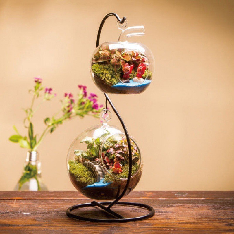 微景观套装微观苔藓绿植物玻璃组合盆栽生态瓶材料包盆景摆件