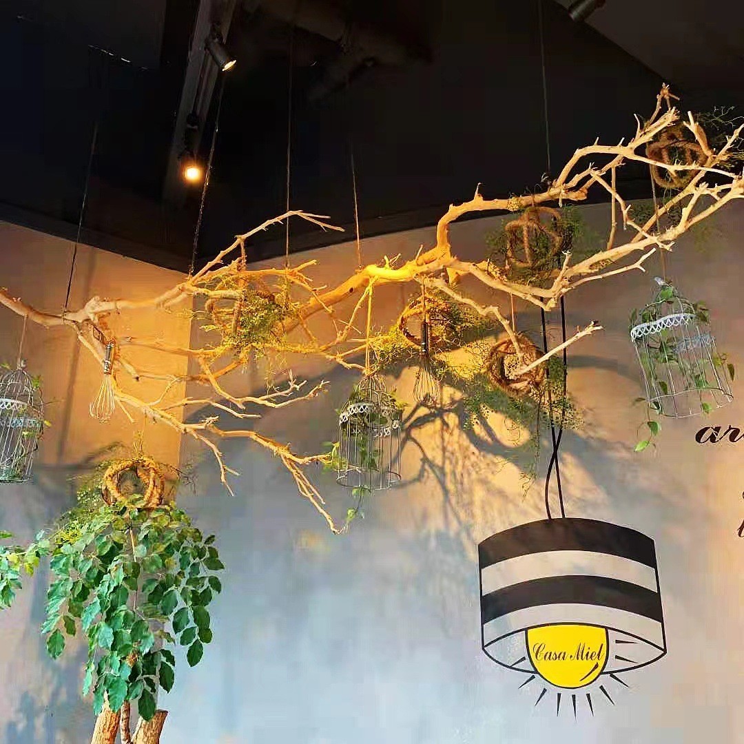 干枯树枝去皮造型天然干树枝田园风猫咖ins装饰实木树干枯木婚礼