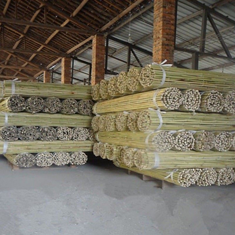 楠竹竹竿批发装饰白黄粗细竹竿子豆角菜园黄瓜搭架菜架竹旗杆防腐,鲜花速递/花卉仿真/绿植园艺,造型盆景,淘宝优惠券,粉丝福利购,淘宝优惠卷