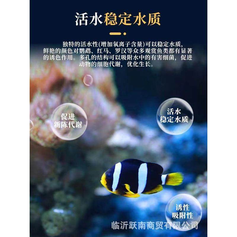 鱼缸专用火山石2-3cm造景石鱼缸精品火山岩底沙硬质造景火山石,宠物/宠物食品及用品,鱼,淘宝优惠券,粉丝福利购,淘宝优惠卷