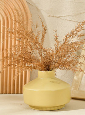 北欧ins陶瓷花瓶摆件创意家居客厅简约小口径插花花瓶文艺小清新