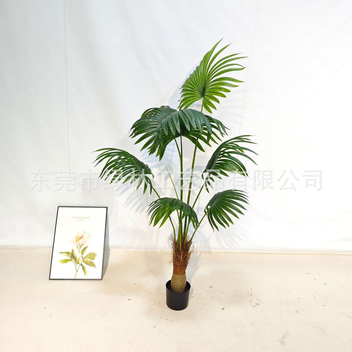 蒲葵蒲葵 仿真绿植   室内外装饰  摆件 装饰道具 加州仿真