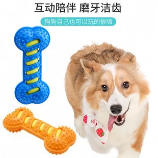 宠物玩具发声狗玩具耐咬橡胶磨牙棒狗狗玩具厂家批发 爆款