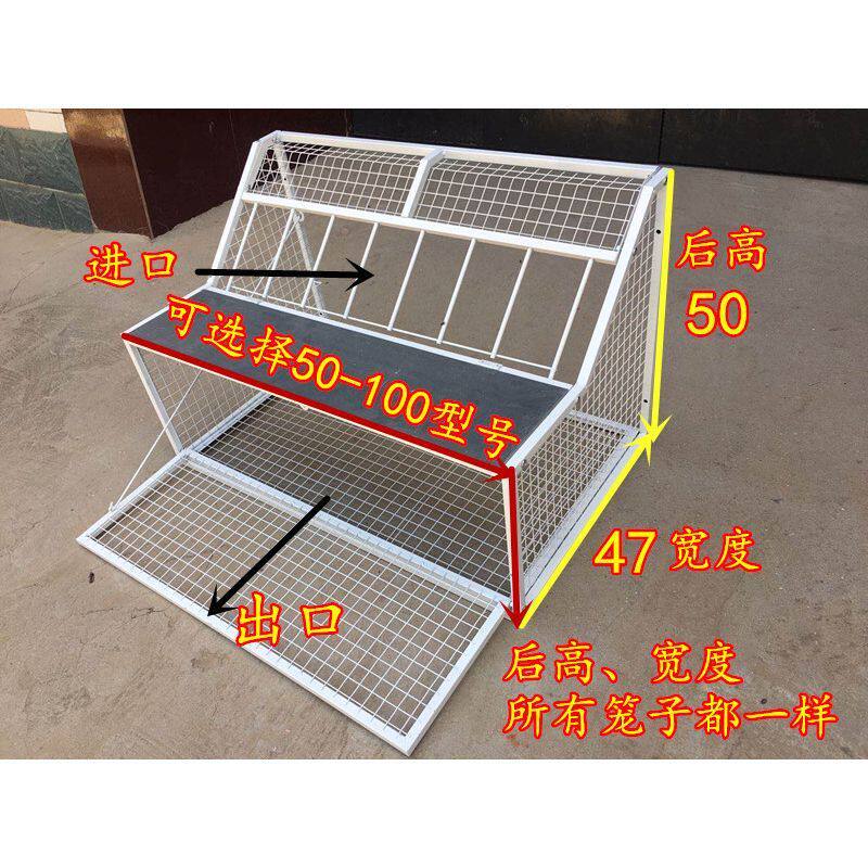信鸽跳笼鸽子赛鸽用具鸽棚鸽舍只门不出拼装鸽舍放飞进一件批发