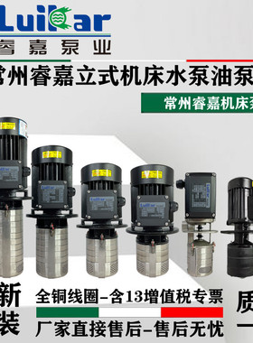 Luikar睿嘉rocoi洛凯CNC加工中心高压水泵LDPB1V-2V-4V-30-40-60