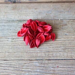 小梧桐壳天然干花原材料木莲花梧桐果泡桐果材料拈花手工批发