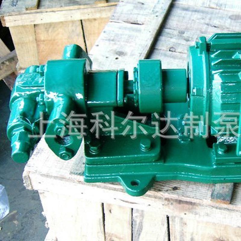 热销kuerte/科尔达厂家供应kyb系列万用油漆漆泵油漆输送泵供泵头