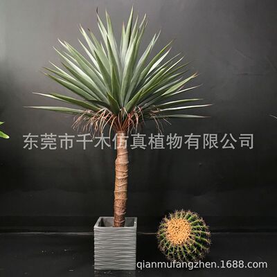 个性独特红色粉色系列蓝色组合芭蕉散尾葵龟背仿真美人蕉布景