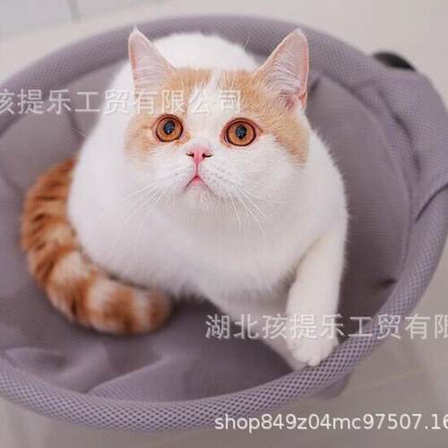 网红猫窝式吊床可拆洗深度睡眠四季通用夏天透气可拆洗小型猫狗窝