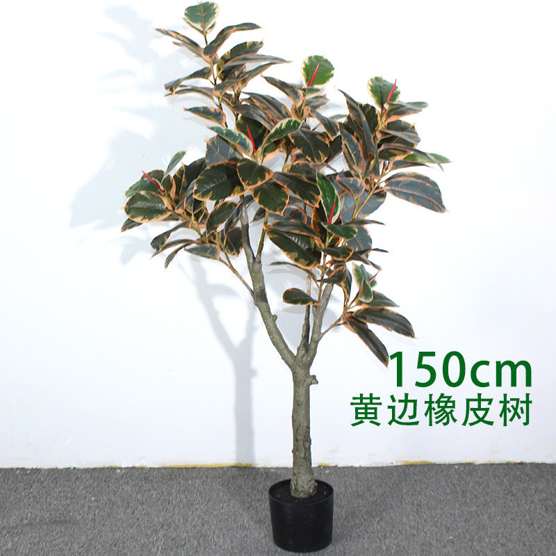 仿真橡皮树植物盆栽造景变叶绿植摆件洒金榕白黄边木橡皮树仿真