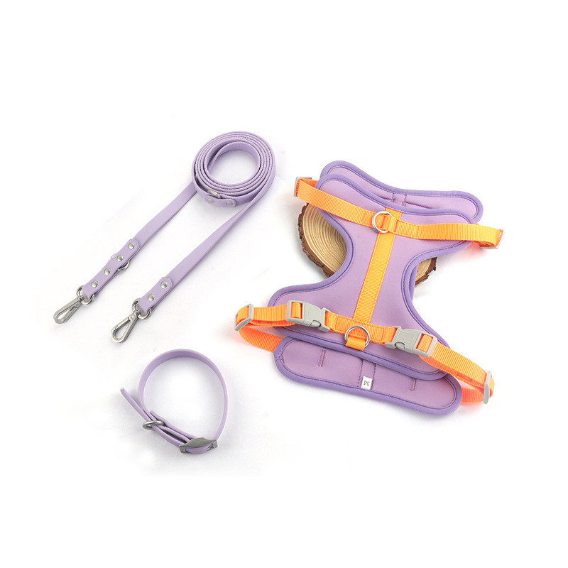 宠物猫咪项圈牵引套装透气网布狗狗牵引绳遛狗胸背带绳子批发,宠物/宠物食品及用品,狗牵引绳,淘宝优惠券,粉丝福利购,淘宝优惠卷