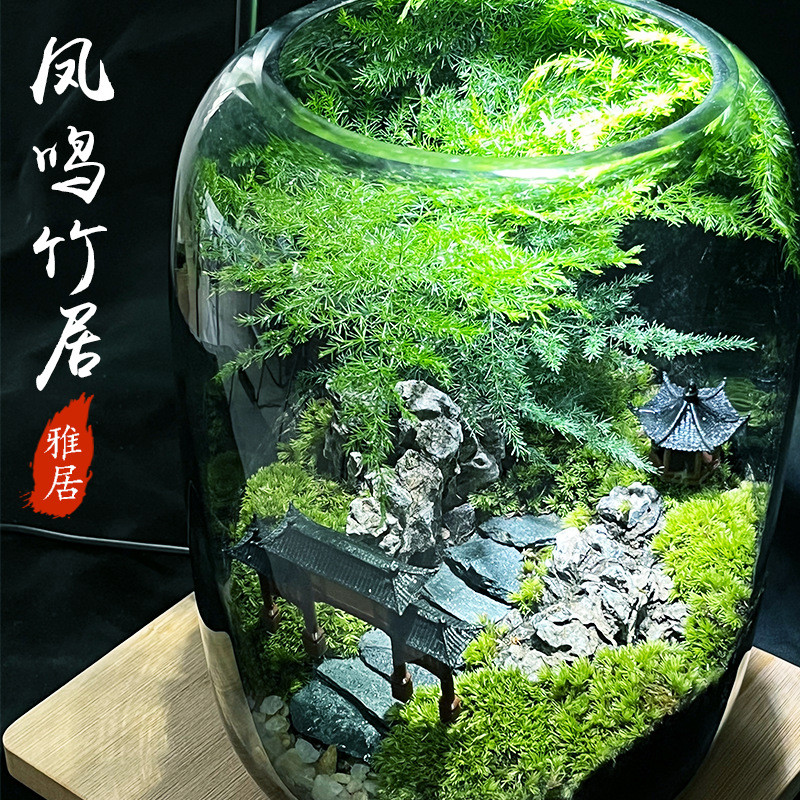 微景观玻璃生态造景办公室桌面绿植盆栽耐养免打理自然生态瓶造景