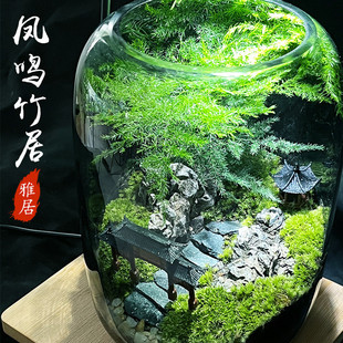 微景观玻璃生态造景办公室桌面绿植盆栽耐养免打理生态瓶自然造景