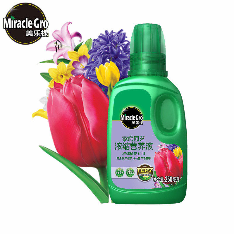 美乐箱种球营养液250ml20瓶/棵风信子郁金香百合种球用