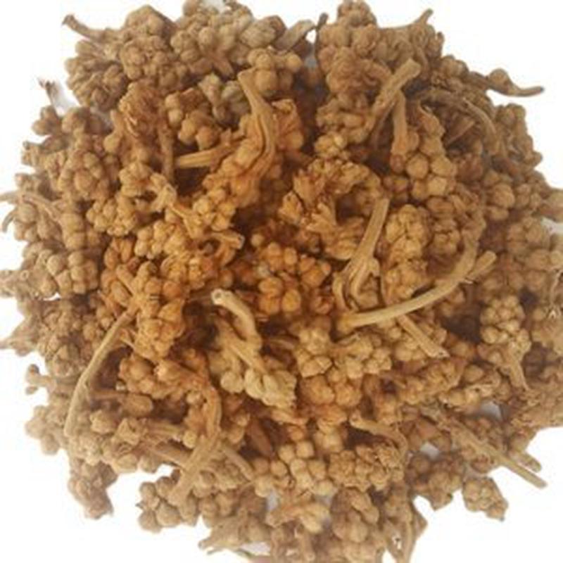 一件包邮广东河源干新鲜花茶护嗓润喉煲汤材料花蕾枇杷花