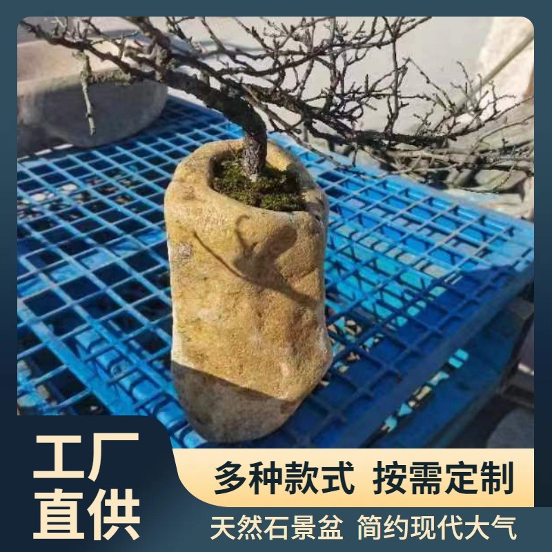 天然石花瓶创意多肉盆景批发定制菖蒲小植物水培石槽花盆