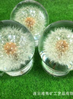 热销爆蒲公英新品款玻璃球树脂滴胶蒲公英球摆件65mm透明水晶球工