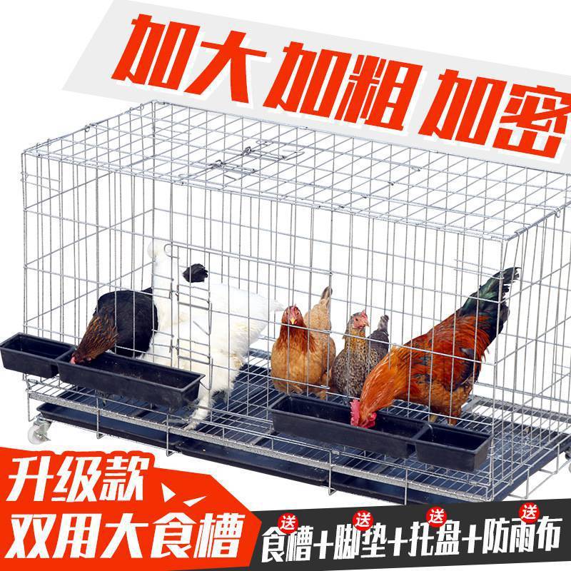 养殖笼大号特大养鸡笼鸡鸭鸡笼家用狗笼加粗加密兔笼鸡笼自动清粪