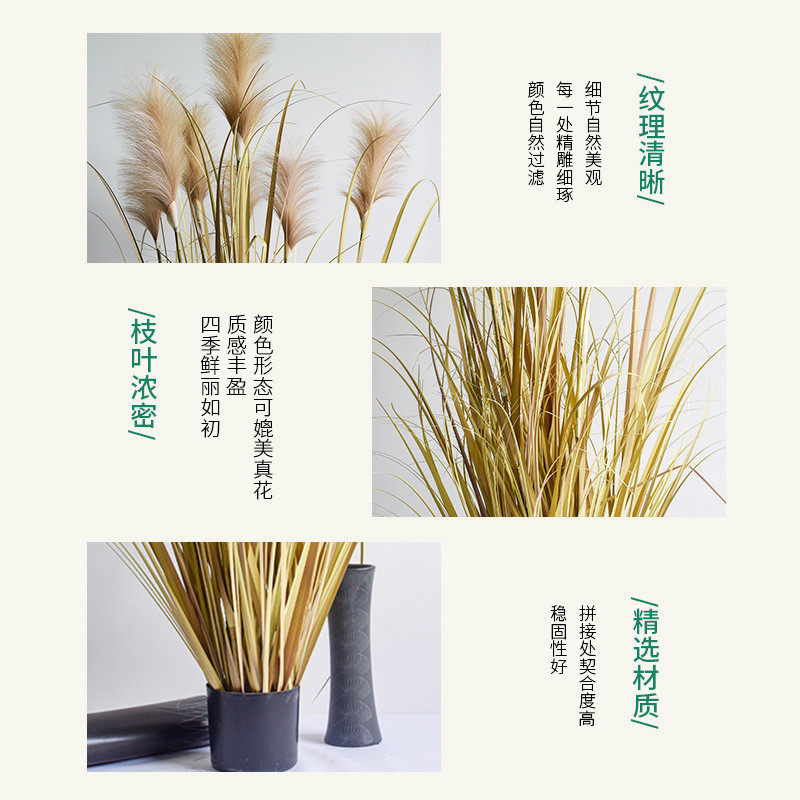 仿真盆栽草洋葱园林绿化盆景家居装饰大型芦苇草蒲苇草盆栽绿植