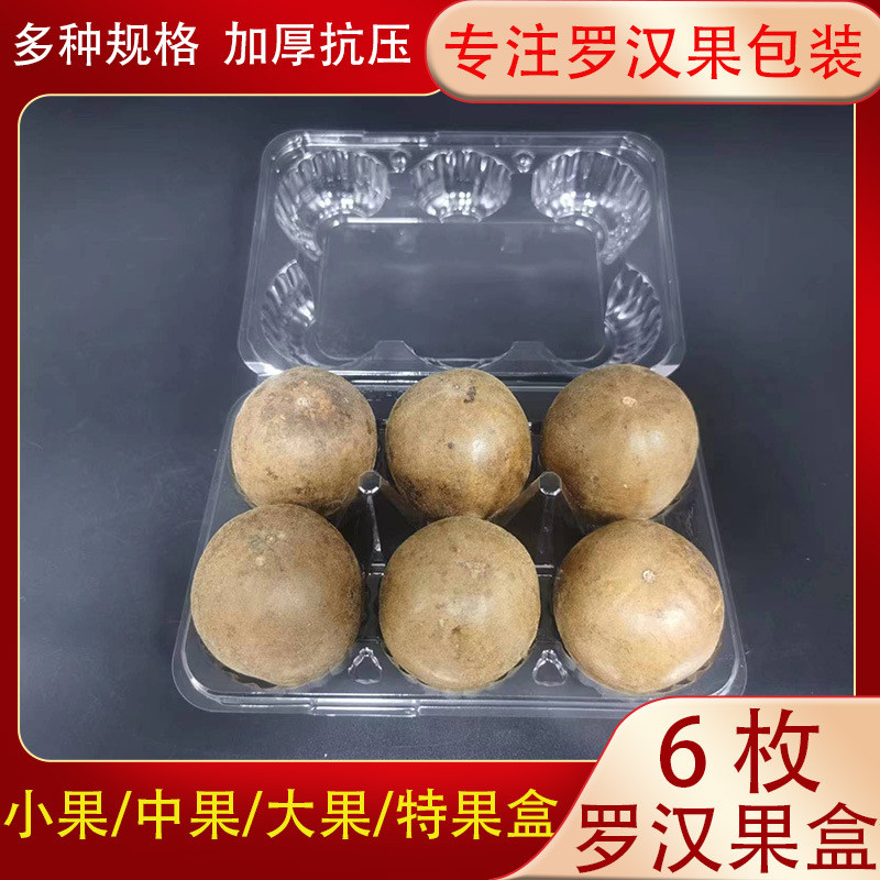热销防摔6枚密封罗汉果塑料包装盒一次性中果大果包邮罗汉果托