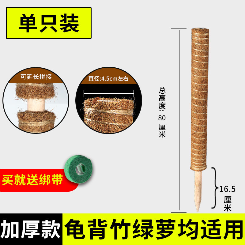 棕榈丝棒绿箩固定架架支撑杆椰植物爬藤花椰棕绿萝柱攀爬柱龟背竹