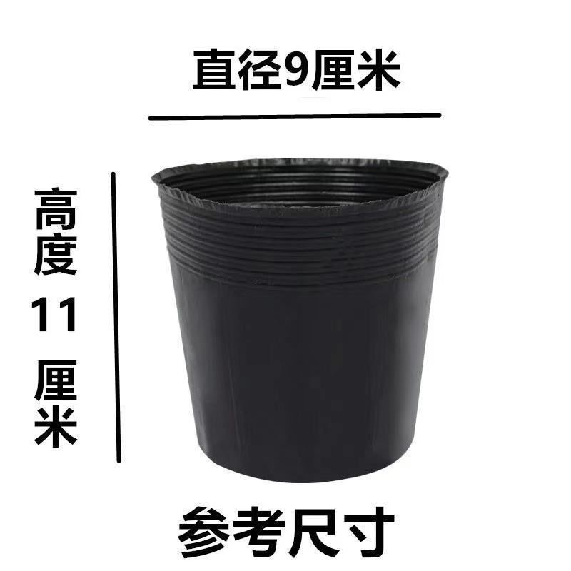 营养杯育苗杯一次性大号营养袋育苗袋黑色播种植塑料育苗盆营养钵
