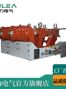 热销fkrn12-12/125-31.5手动负荷开关fn26高压负荷开关接地带熔芯