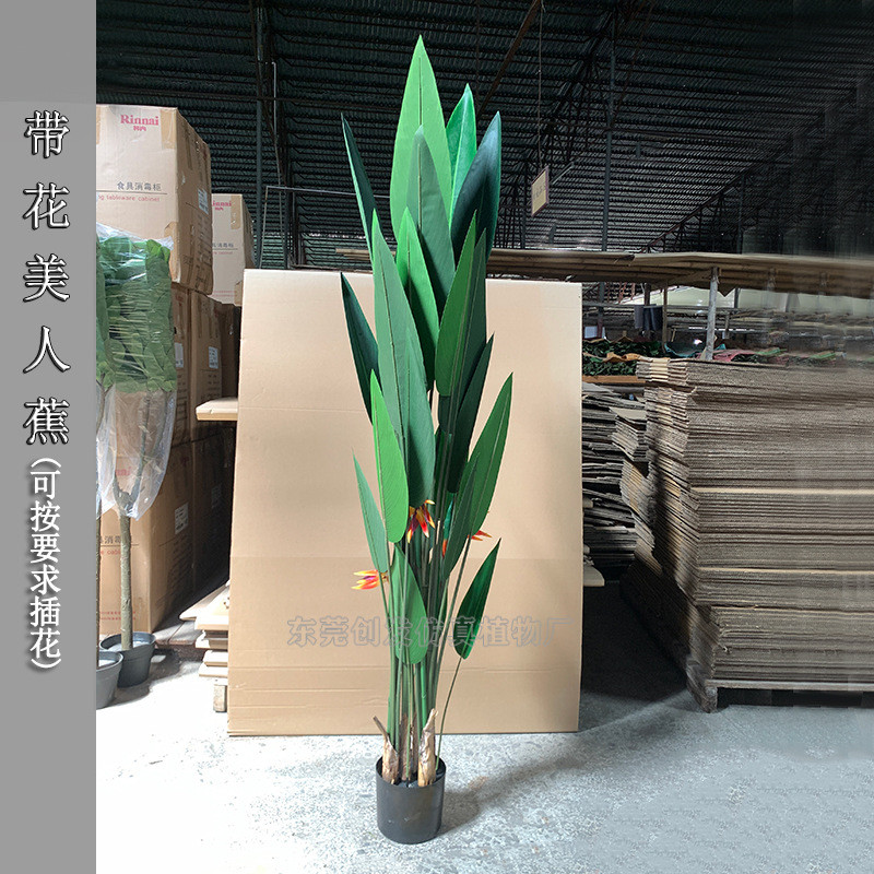 仿真枯树望鹤兰人造大型塑料树旅人蕉室内花艺摆放热带植物美人蕉