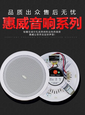 Hivi/惠威TD201/TD202/TD205/TD206嵌入式吸顶喇叭吊顶天花音响箱