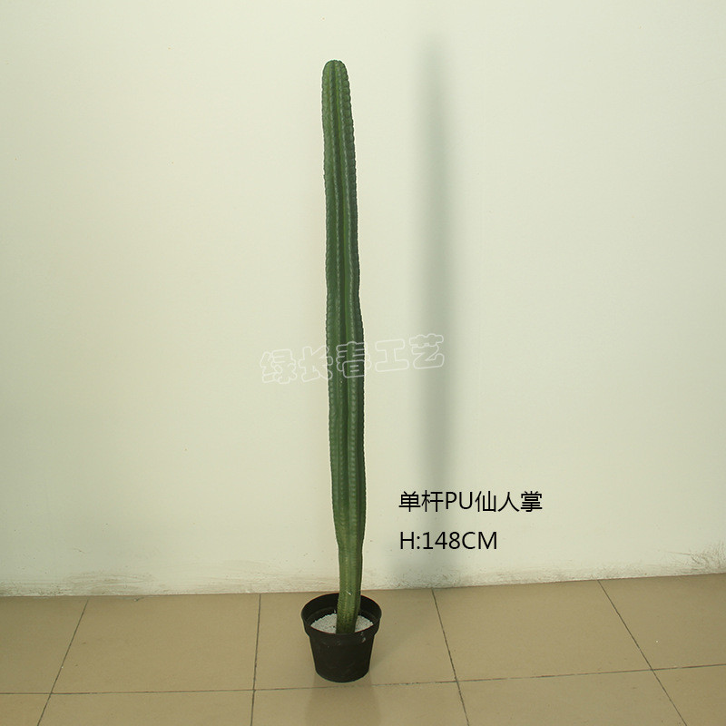 仿真仙人掌肉类植物仙人掌pu沙漠人造仙人柱拍摄背景家居橱窗装饰