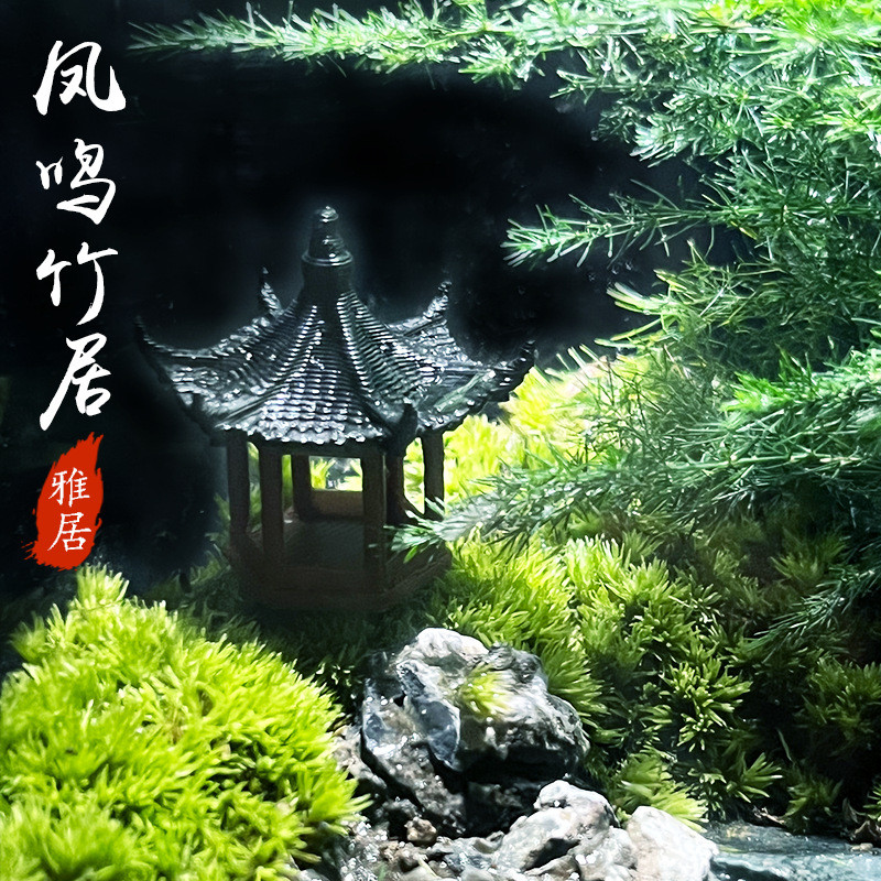 微景观玻璃生态瓶造景办公室桌面绿植盆栽耐养免打理生态自然造景