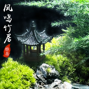 微景观玻璃生态生态瓶办公室桌面绿植盆栽耐养免打理造景自然造景