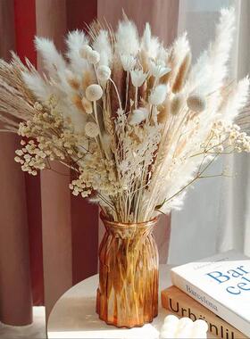 蒲苇草小芦苇干花兔尾草小拂尘组合花束干花插花摆件批发