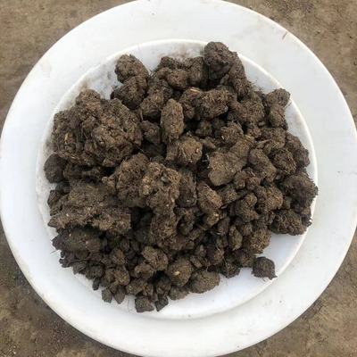 干鸡粪鸡粪颗粒有机肥肥沃土壤发酵鸡粪颗粒果树花卉用鸡粪有机肥