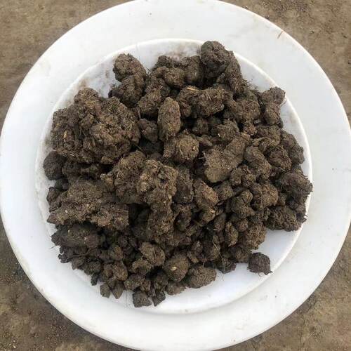 干鸡粪鸡粪颗粒有机肥肥沃土壤发酵鸡粪颗粒鸡粪花卉用果树有机肥
