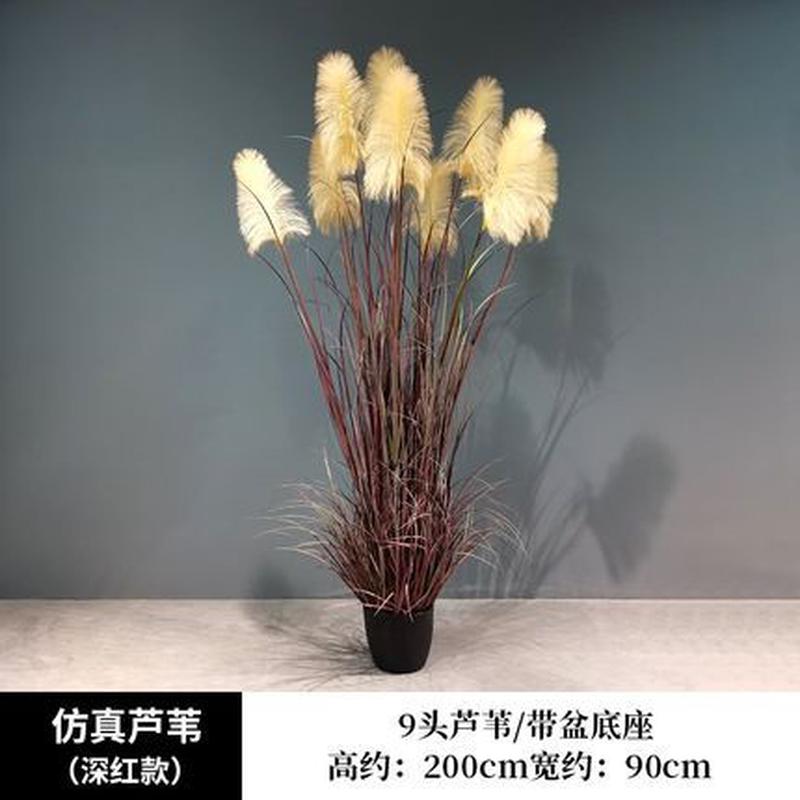芦苇盆景落地绿植北欧家居摆件水草景观室内装饰道具套装