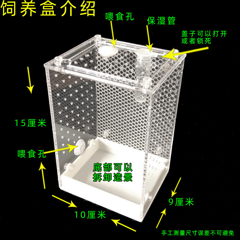 昆虫饲养盒昆虫爬虫鸣虫蜘蛛跳饲养盒宠物螳螂别墅螳螂蛛饲养箱