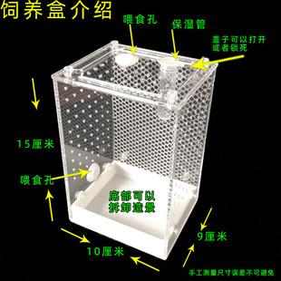 昆虫饲养盒昆虫爬虫鸣虫蜘蛛跳螳螂宠物蛛别墅螳螂饲养盒饲养箱