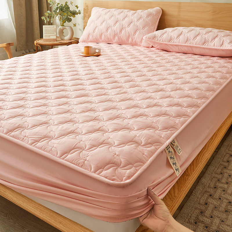 55n床垫软垫褥子大豆保暖学生床笠罩铺底秋冬防水床褥垫被家用保