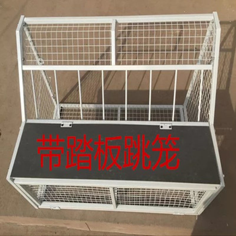 热销鸽子跳笼进出门鸽赛鸽用品信鸽舍只进不出笼门撞门电子跳笼