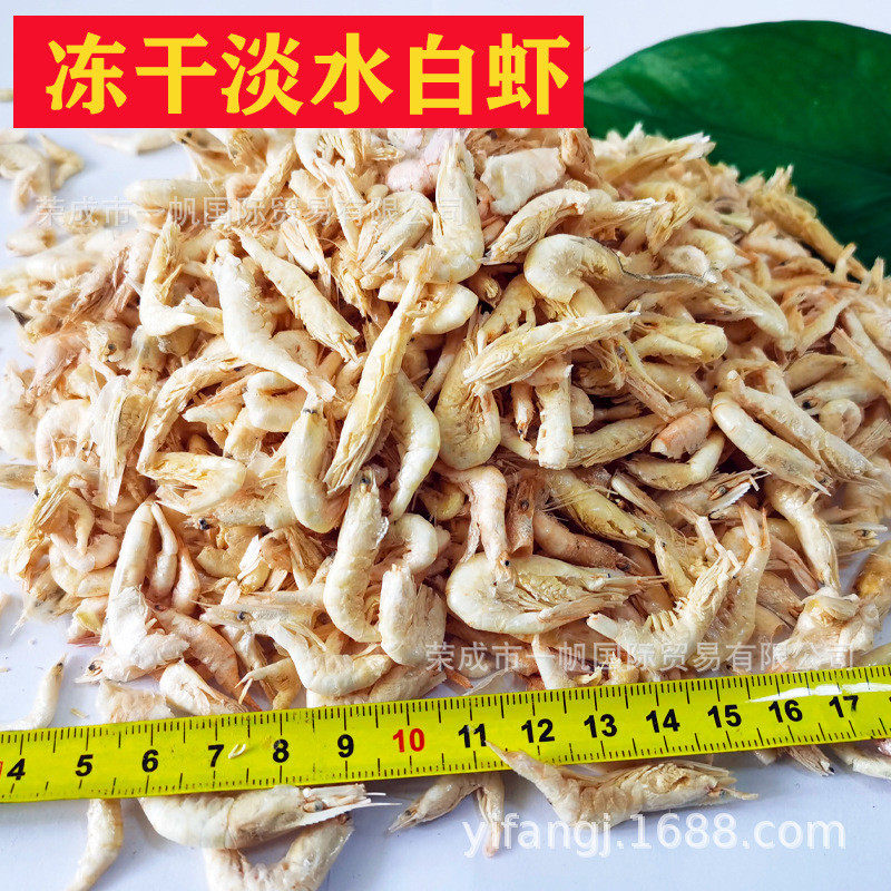 冻干淡水龙鱼饲料适合龟粮白虾水族用品