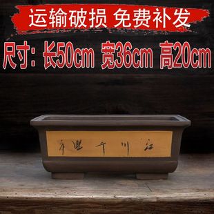 长方形花盆紫砂特大号大号超大庭院阳台长条长型马槽盆景陶瓷花盆