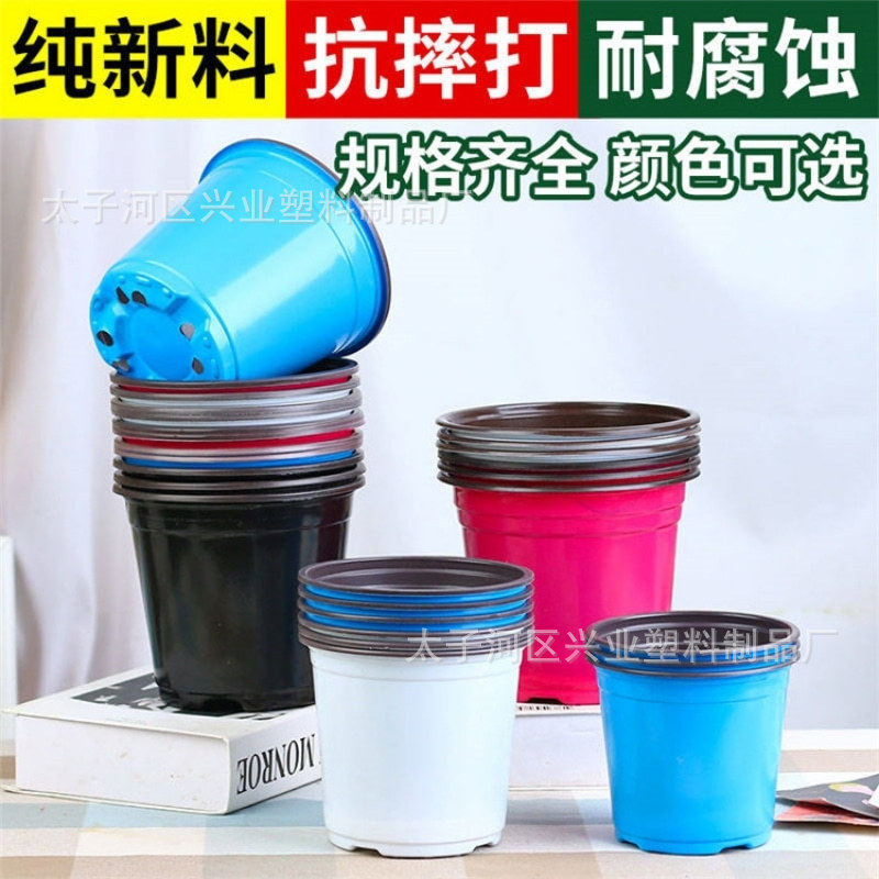 白色双色育苗盆pp彩色塑料花盆加厚不坏简易摔大号多肉培育育苗盆